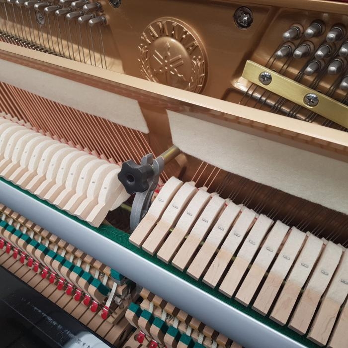Yamaha C110A