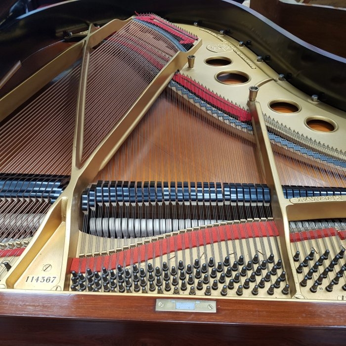 Steinway model O