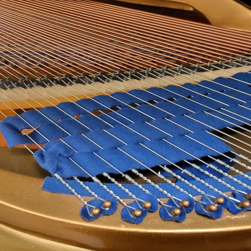 Bluthner VII grand Piano in bright black – Gallery image – Roberts Pianos Oxford