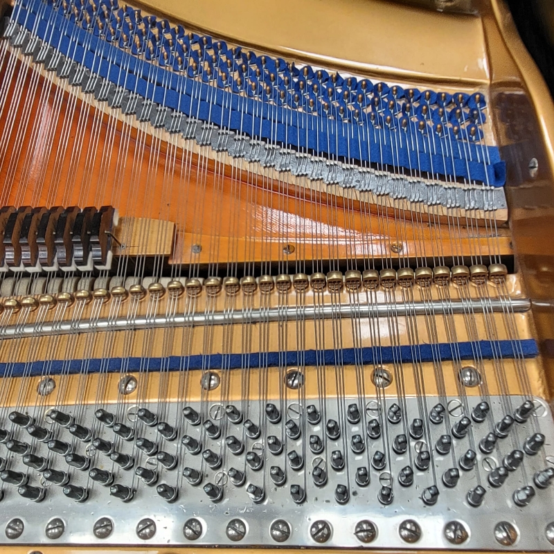 Bluthner VII grand Piano in bright black – Gallery image – Roberts Pianos Oxford