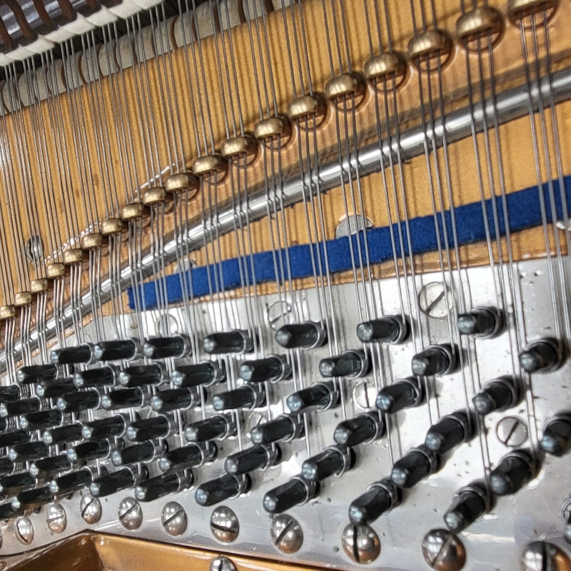 Bluthner VII grand Piano in bright black – Gallery image – Roberts Pianos Oxford