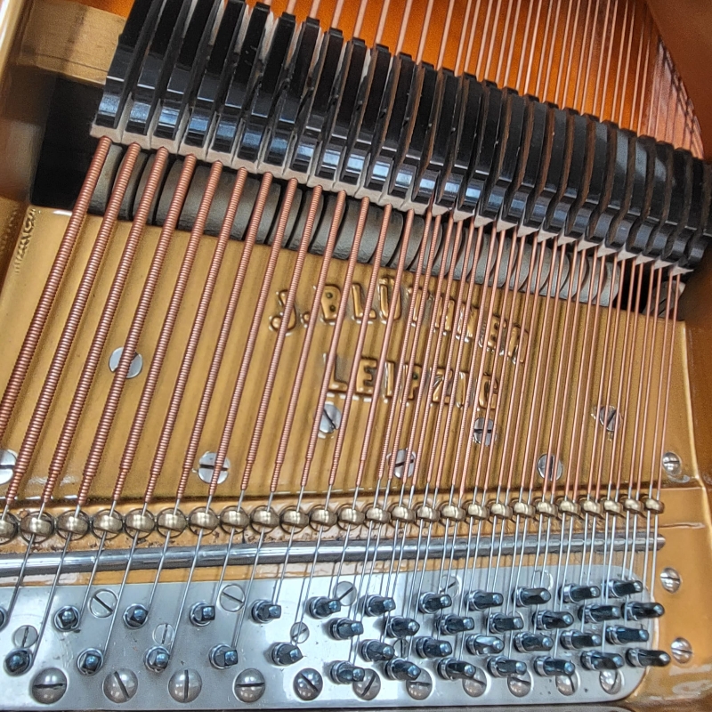 Bluthner VII grand Piano in bright black – Gallery image – Roberts Pianos Oxford