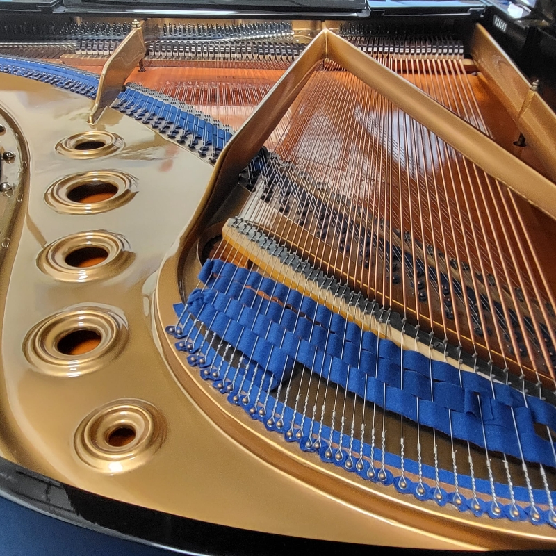 Bluthner VII grand Piano in bright black – Gallery image – Roberts Pianos Oxford