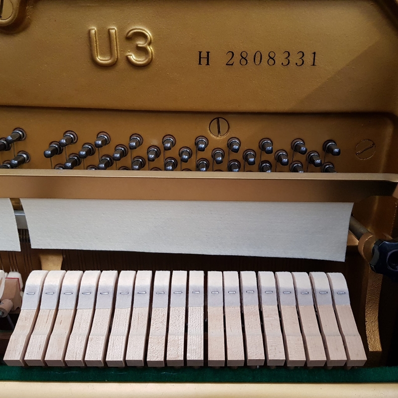 Yamaha U3H upright Piano in black polyester – Gallery image – Roberts Pianos Oxford
