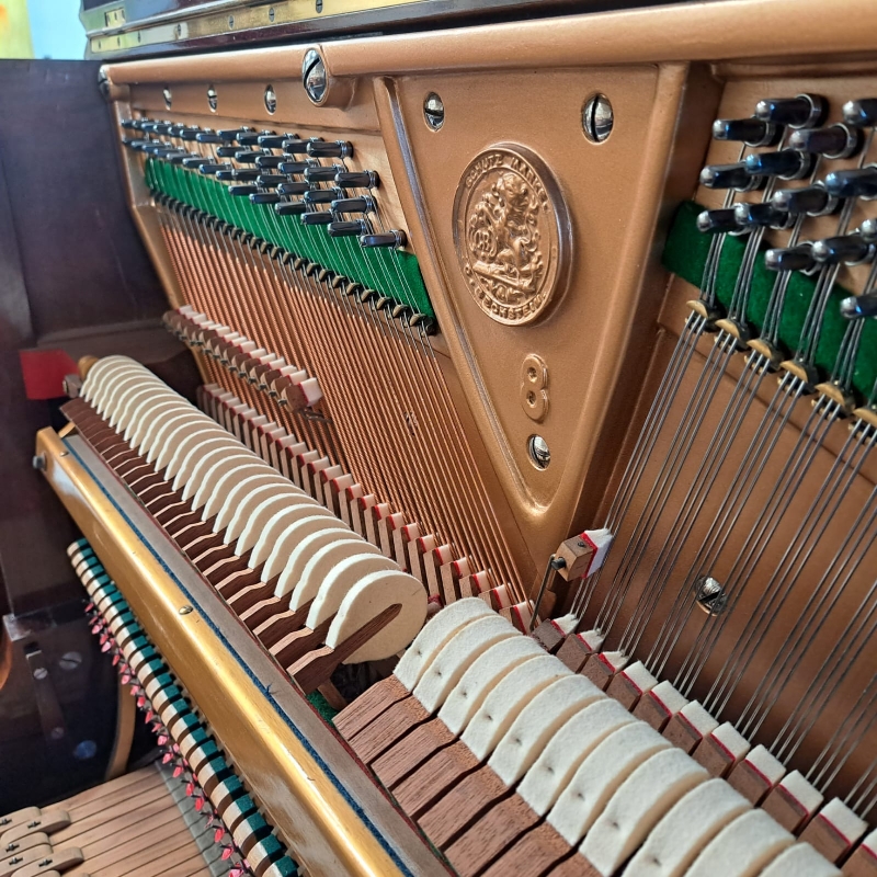 Bechstein 8