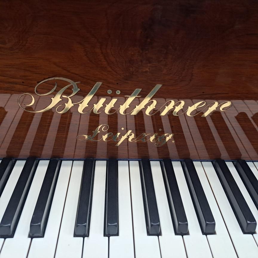 Bluthner style IX grand Piano in rosewood – Gallery image – Roberts Pianos Oxford
