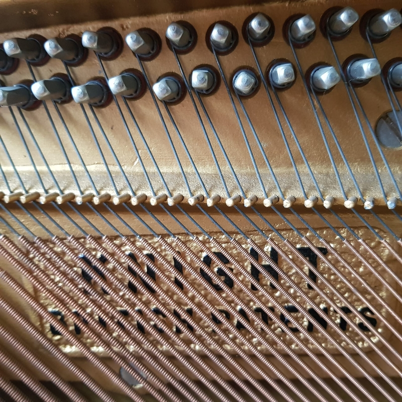 Knight K6