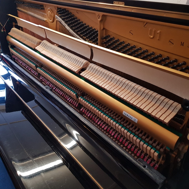 Yamaha U1M