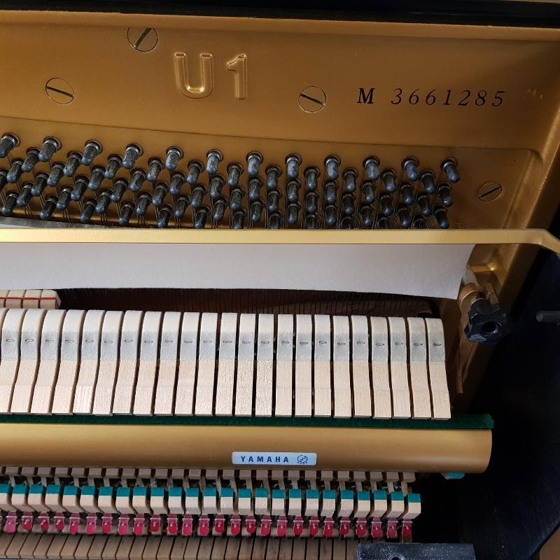 Yamaha U1M upright Piano in Black – Gallery image – Roberts Pianos Oxford