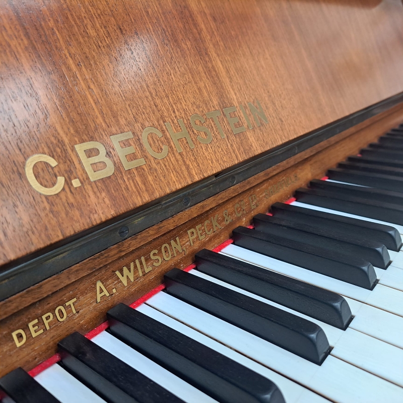 Bechstein 10