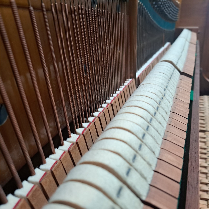 Bechstein 10