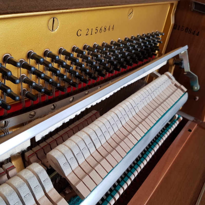 Yamaha C108