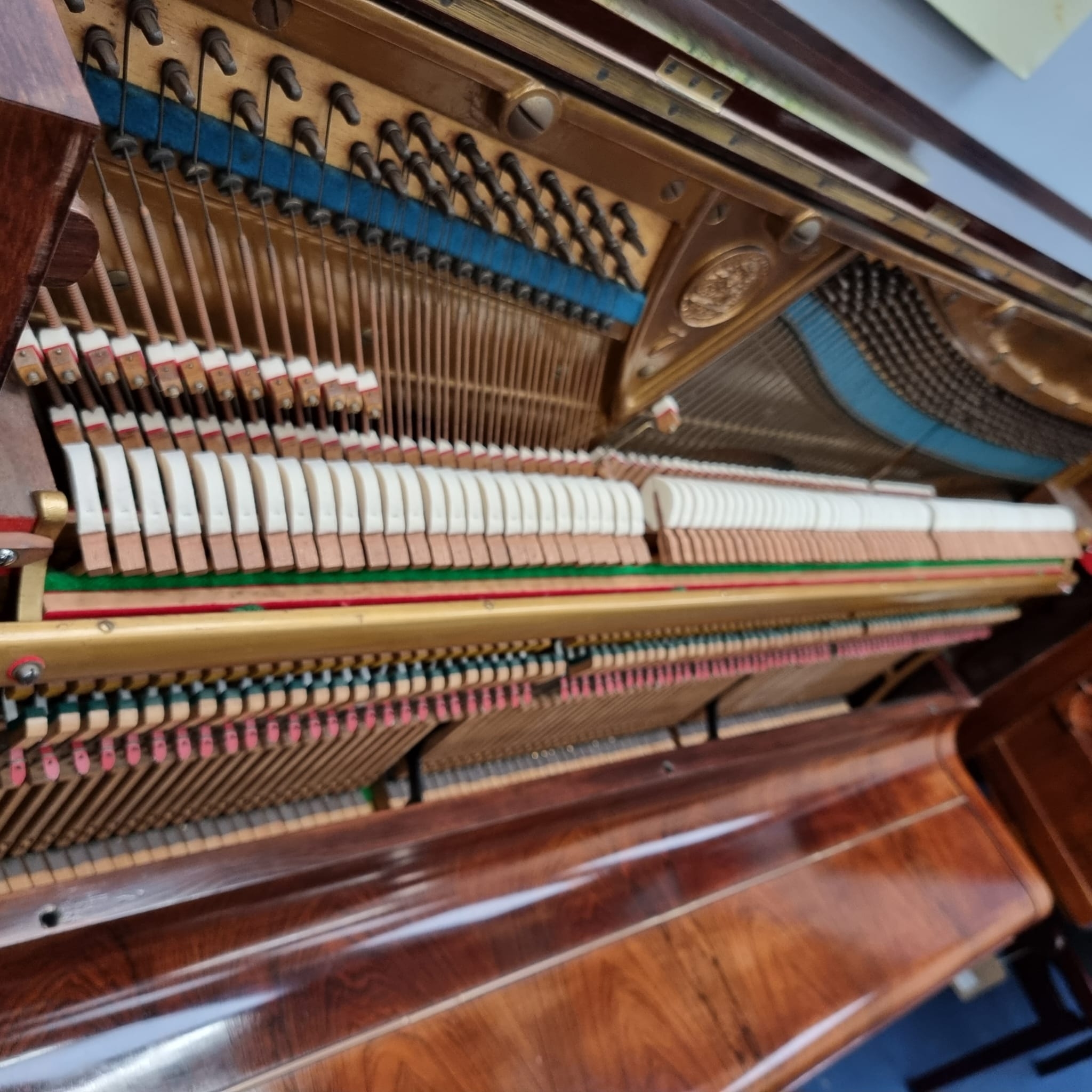 Bechstein 7