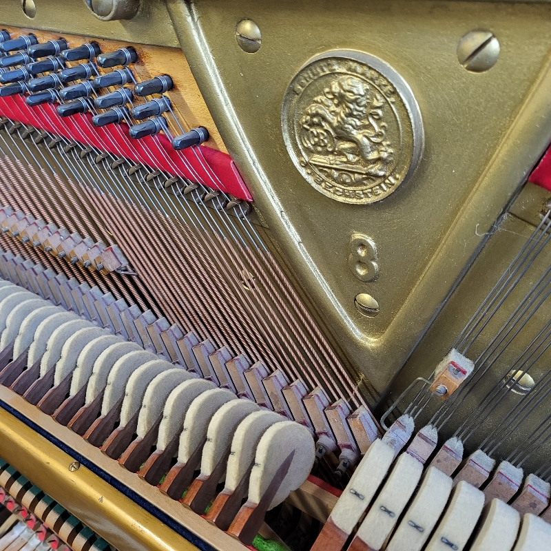 Bechstein 8