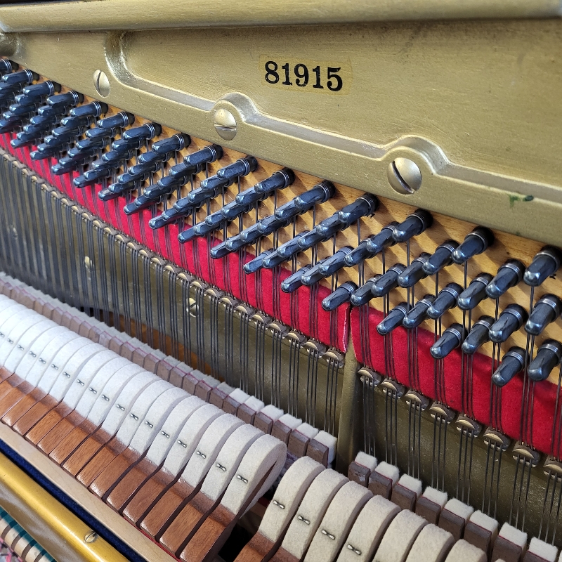 Bechstein 8