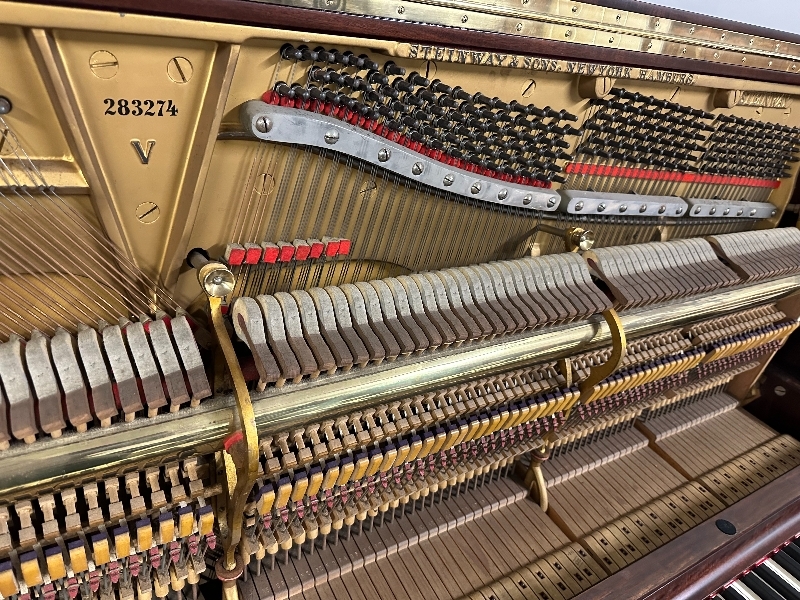 Steinway V