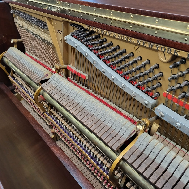 Steinway V
