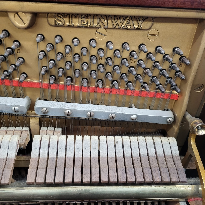 Steinway V