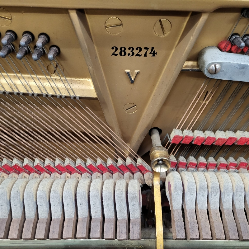 Steinway V