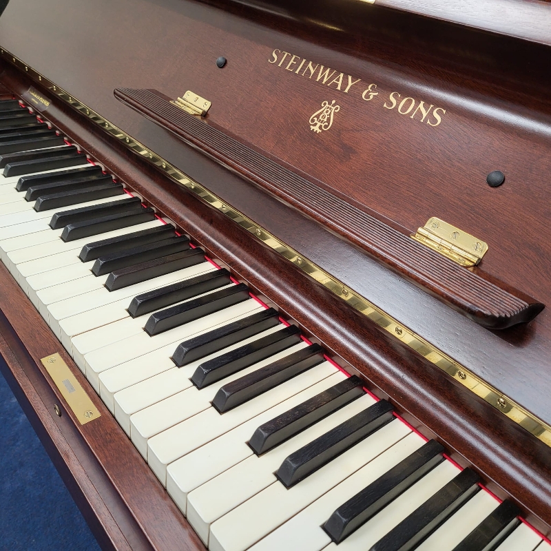 Steinway V