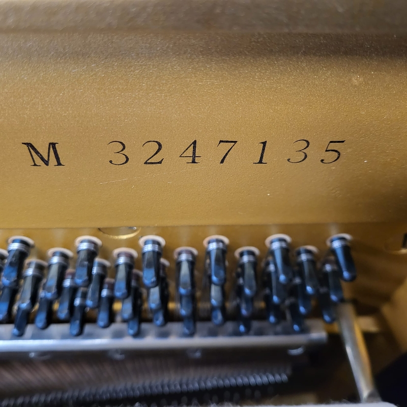 Yamaha U3M