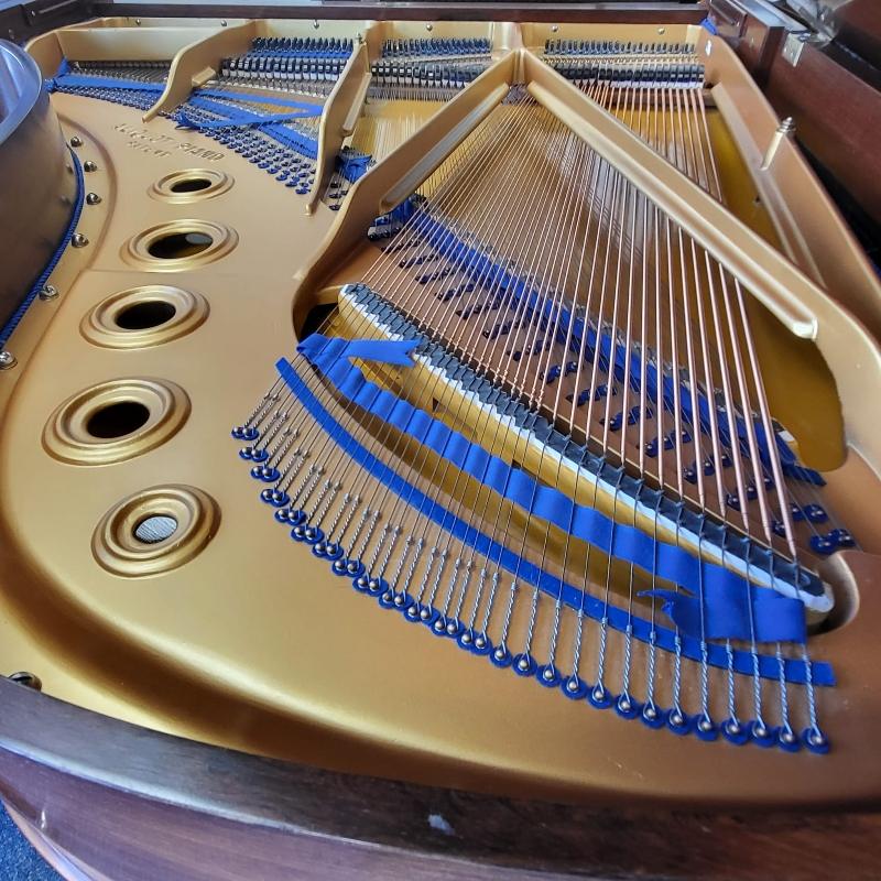 Bluthner VIII grand Piano in rosewood – Gallery image – Roberts Pianos Oxford