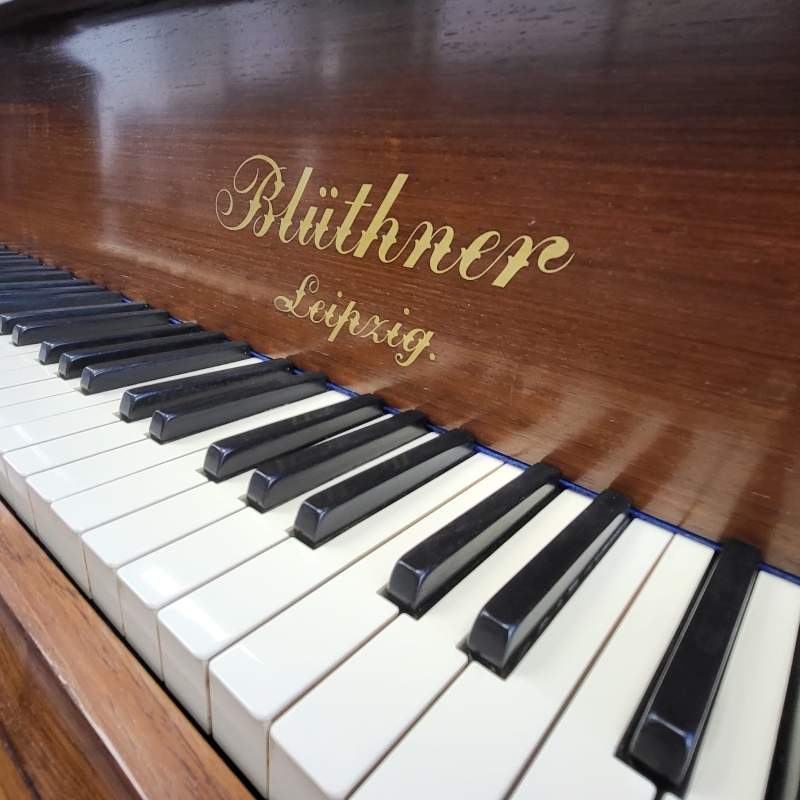 Bluthner VIII