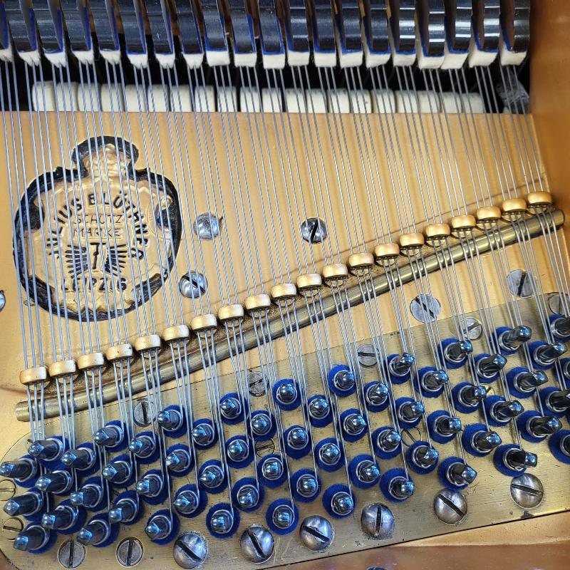 Bluthner VIII grand Piano in rosewood – Gallery image – Roberts Pianos Oxford