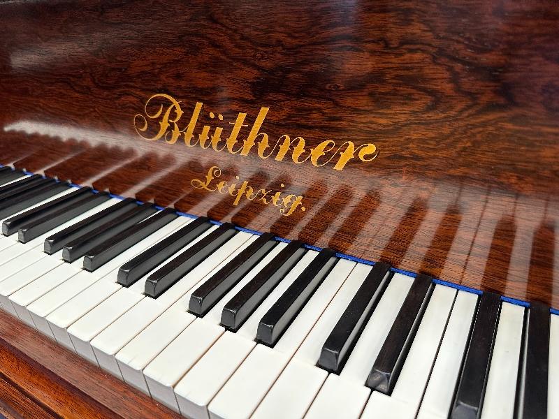 Bluthner style VII grand Piano in rosewood – Gallery image – Roberts Pianos Oxford