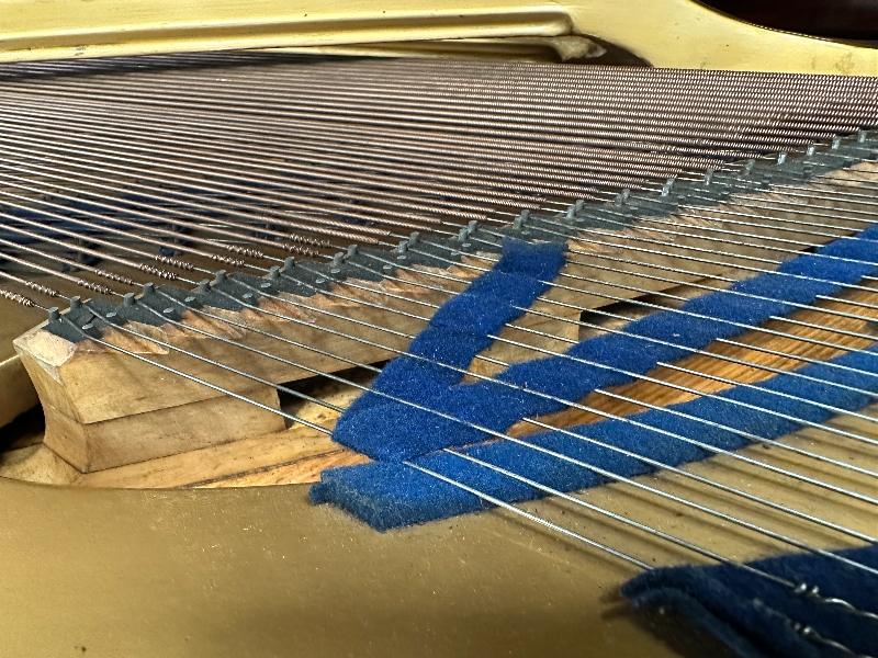 Bluthner style VII grand Piano in rosewood – Gallery image – Roberts Pianos Oxford