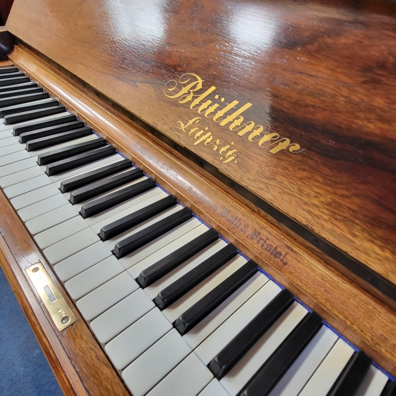 Bluthner 130