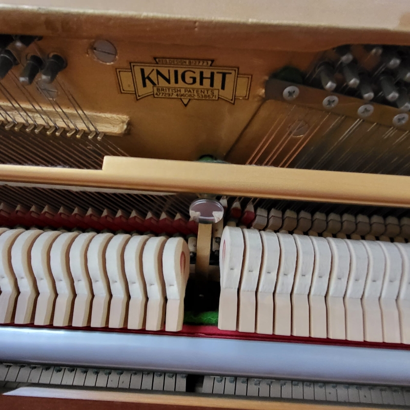 Knight K6