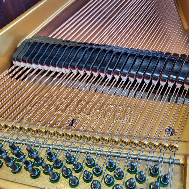 Bosendorfer 170
