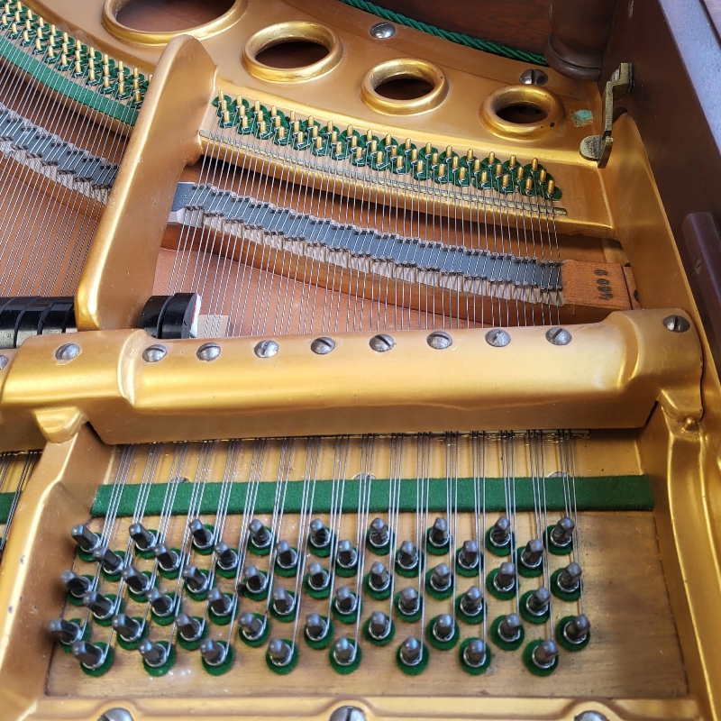 Bosendorfer 170