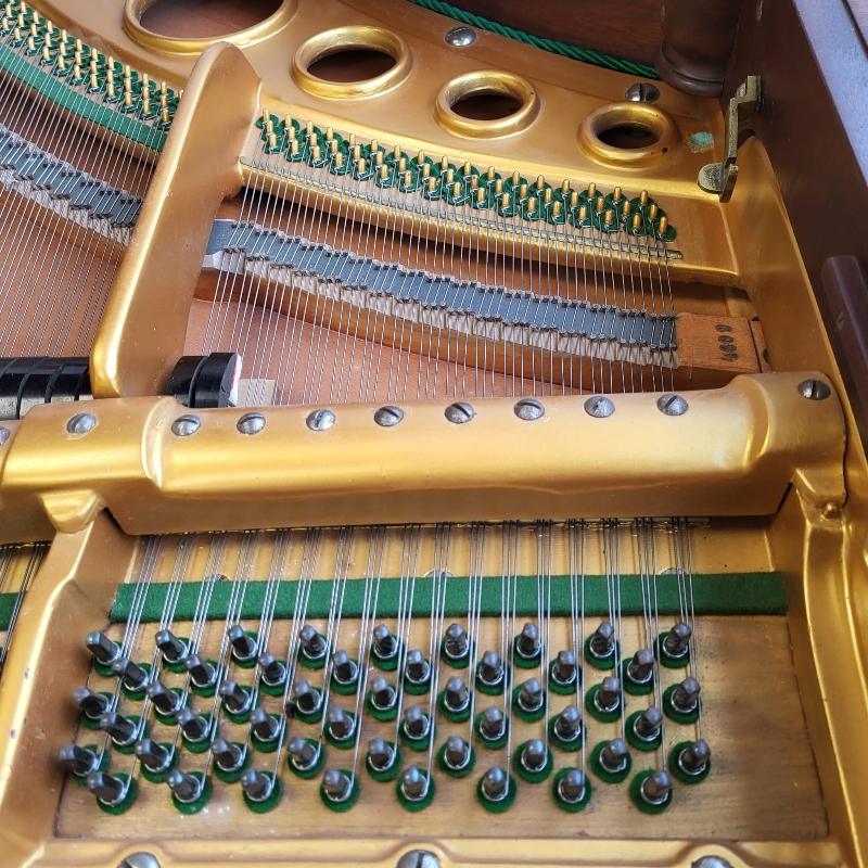 Bosendorfer 170 grand Piano in mahogany – Gallery image – Roberts Pianos Oxford