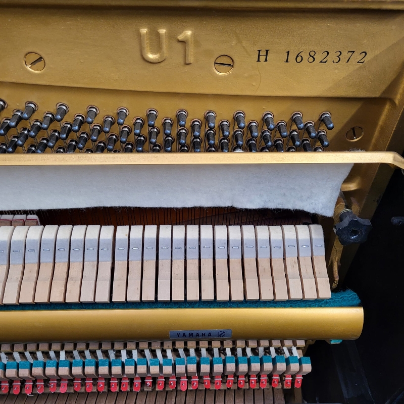 Yamaha U1H