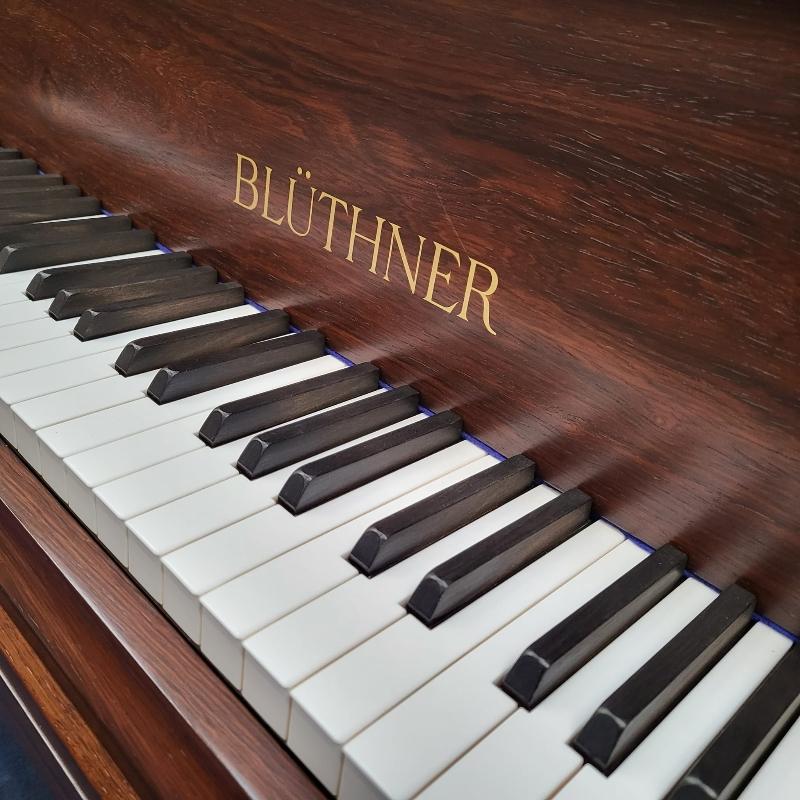 Bluthner VI grand Piano in rosewood – Gallery image – Roberts Pianos Oxford