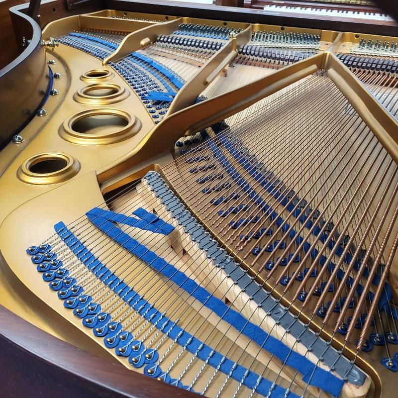 Bluthner VI grand Piano in rosewood – Gallery image – Roberts Pianos Oxford