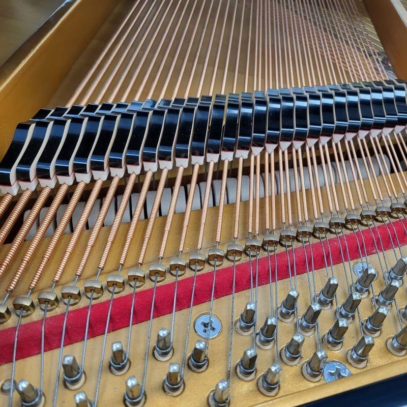 Samick SG140 grand Piano in black polyester – Gallery image – Roberts Pianos Oxford