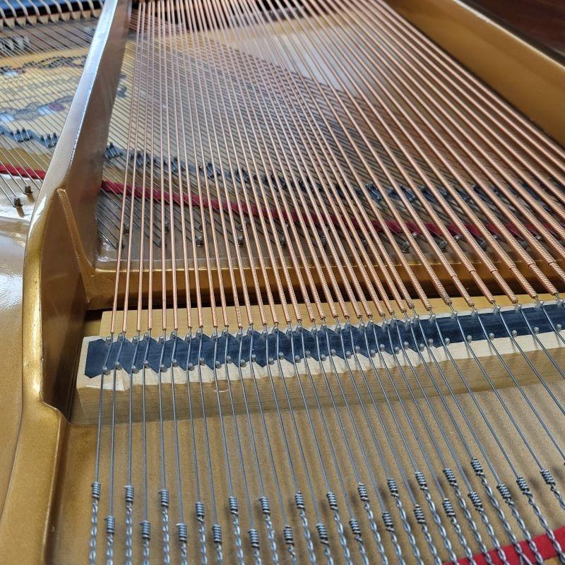 Samick SG140 grand Piano in black polyester – Gallery image – Roberts Pianos Oxford