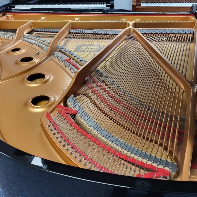 Yamaha C1
