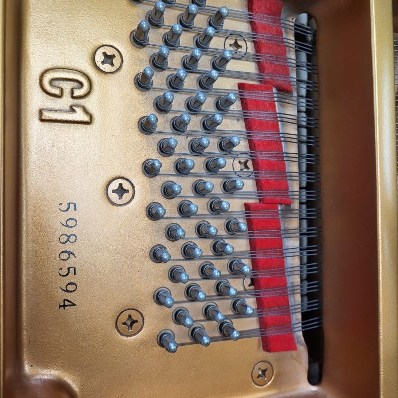 Yamaha C1