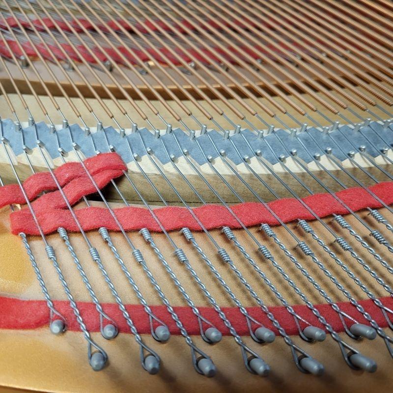 Yamaha C1 grand Piano in bright black – Gallery image – Roberts Pianos Oxford