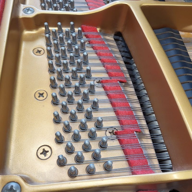 Yamaha C1