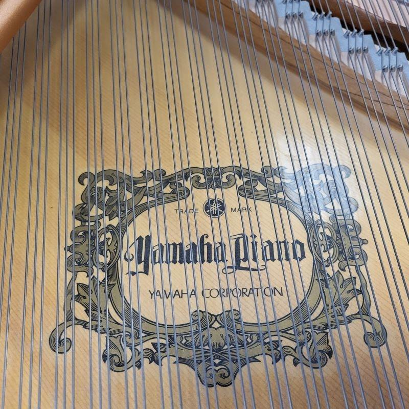 Yamaha C1 grand Piano in bright black – Gallery image – Roberts Pianos Oxford