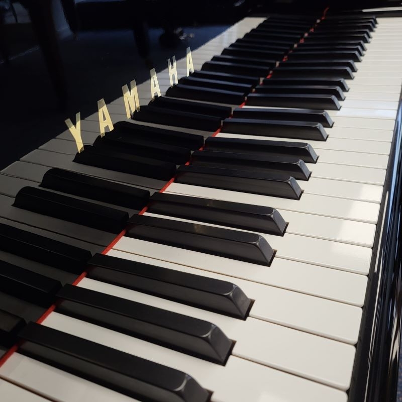 Yamaha G2