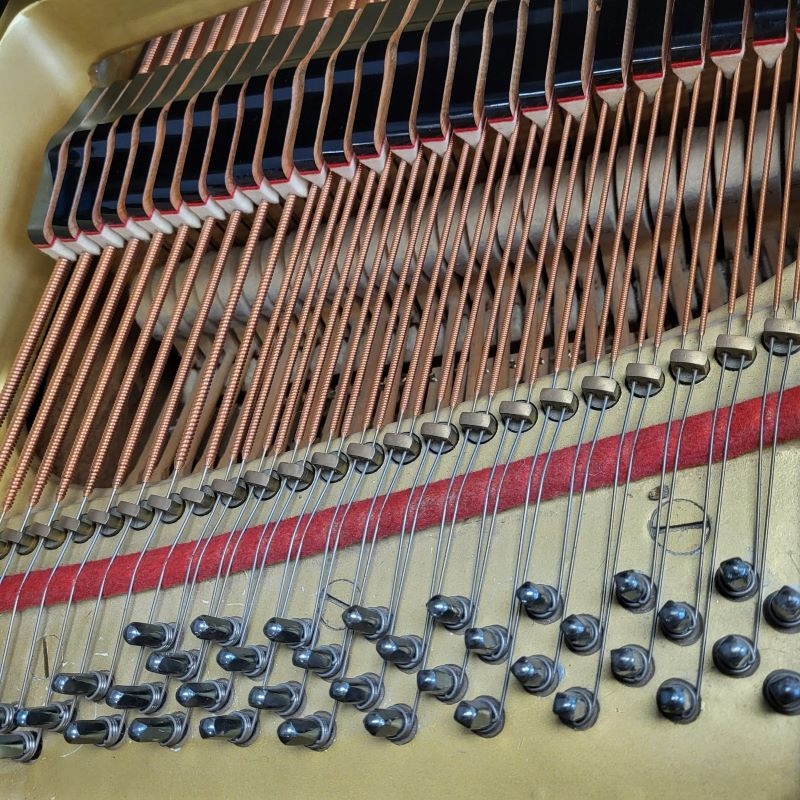 Yamaha G2
