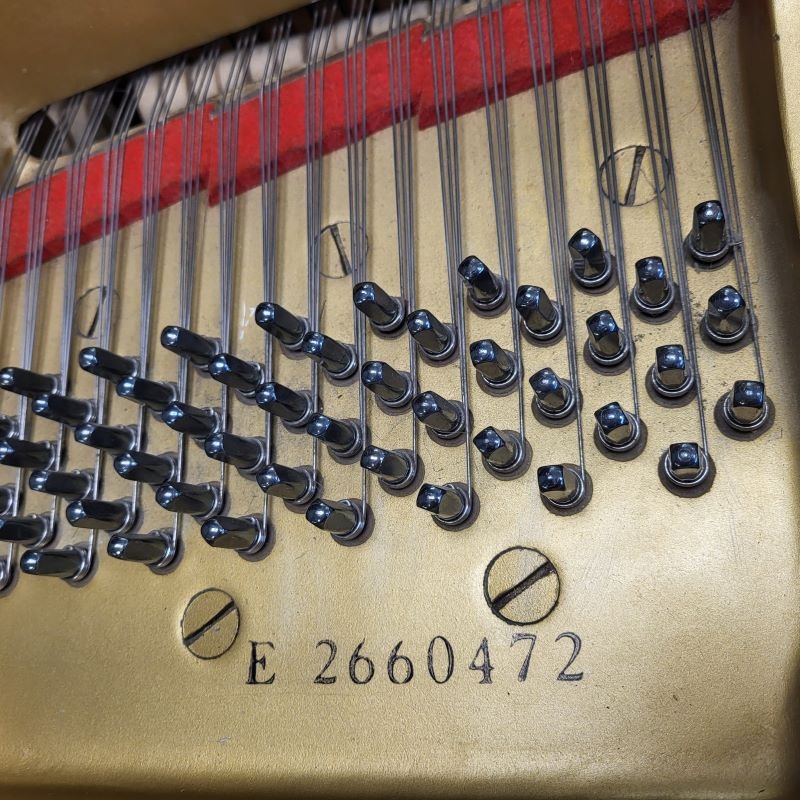 Yamaha G2