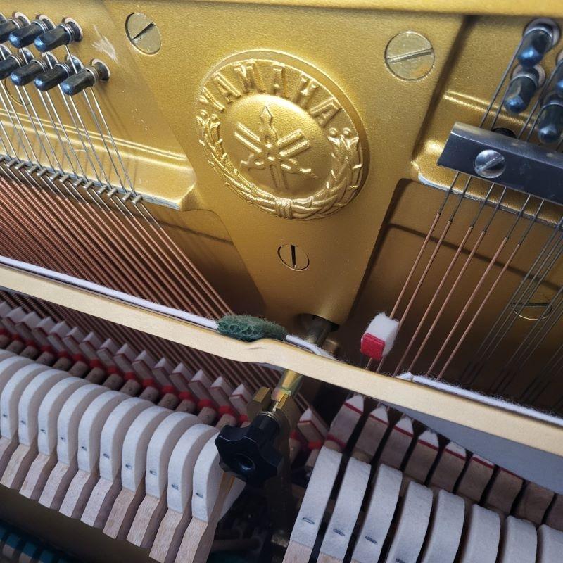 Yamaha U3M upright Piano in black polyester – Gallery image – Roberts Pianos Oxford