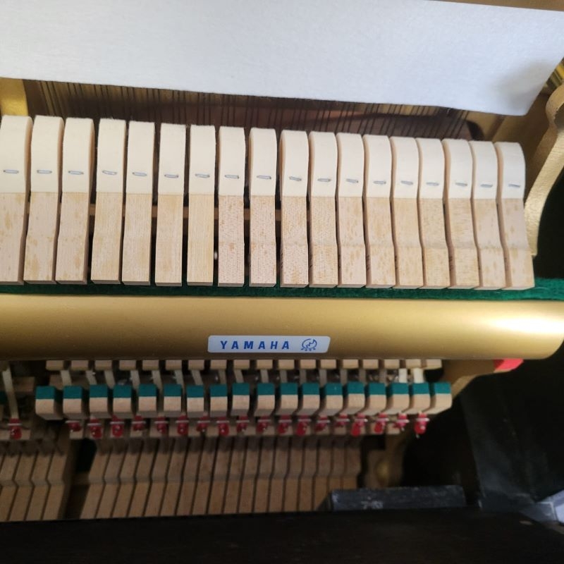Yamaha U3M